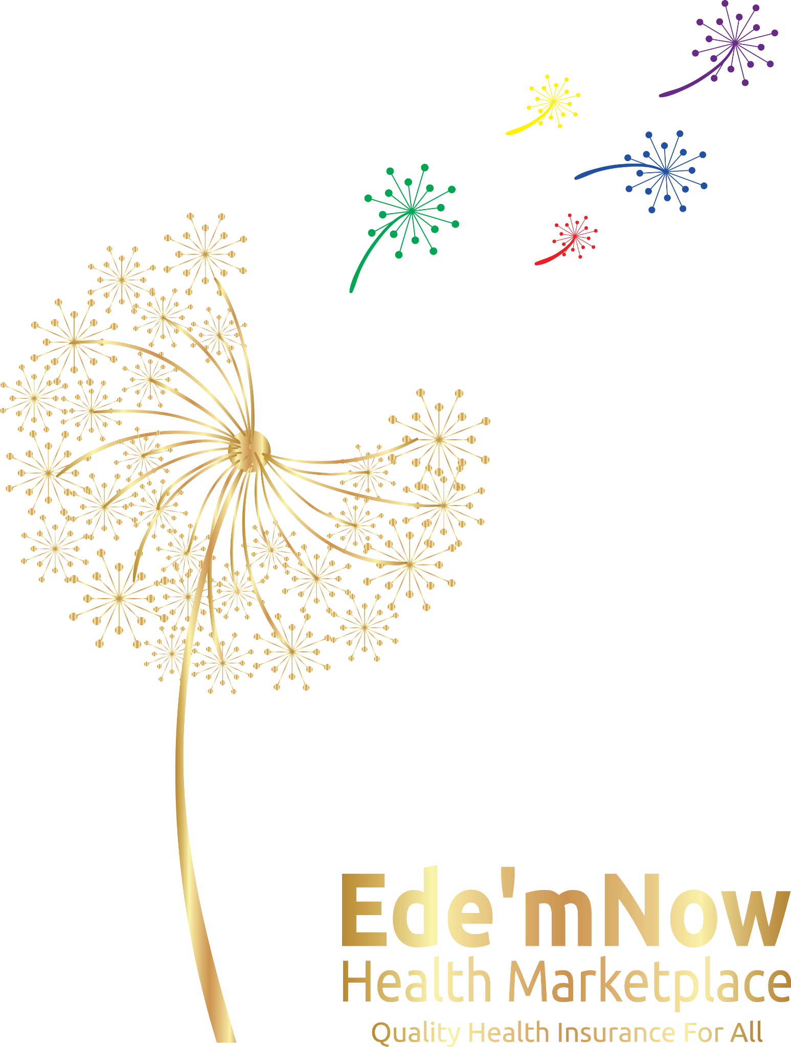 Ede'mNow Health Marketplace
